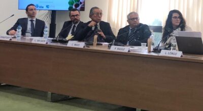 Sinergia e contaminazioni sull’asse Calabria – America Latina: la sfida internazionale lanciata da esperti del settore