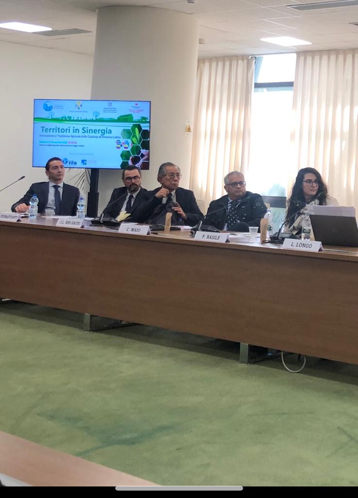 Sinergia e contaminazioni sull’asse Calabria – America Latina: la sfida internazionale lanciata da esperti del settore