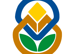 Esame di Stato 2025